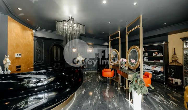 Spațiu comercial, Râșcani, NICOLAE DIMO