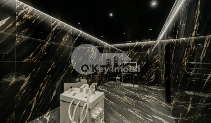 Spațiu comercial, Râșcani, NICOLAE DIMO