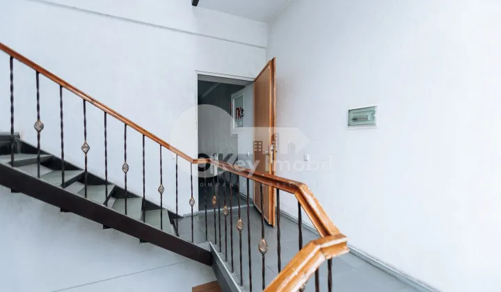 Офис, Ботаника, БУРЕБИСТА