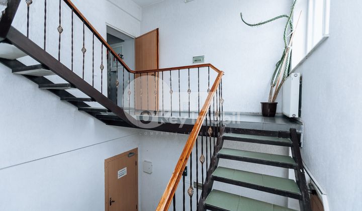 Oficiu, Botanica, BUREBISTA