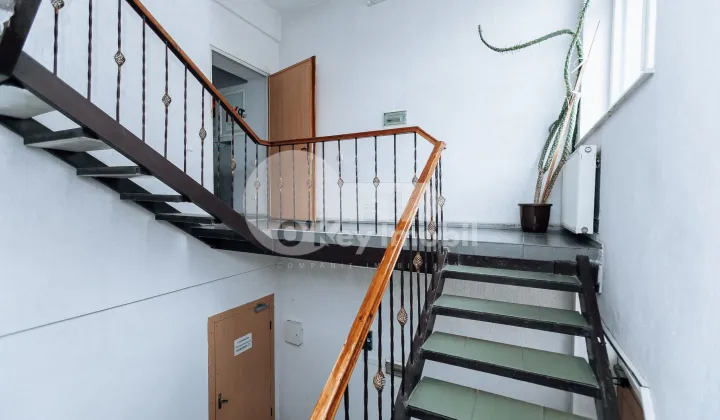 Офис, Ботаника, БУРЕБИСТА