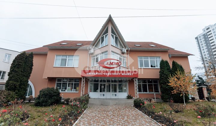 Oficiu, Botanica, BUREBISTA