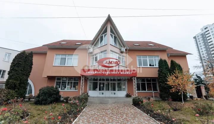 Офис, Ботаника, БУРЕБИСТА