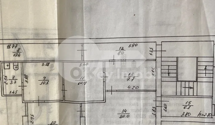 Офис, Ботаника, БУРЕБИСТА