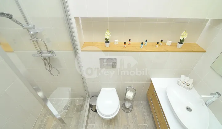 Apartament, Centru, MELESTIU