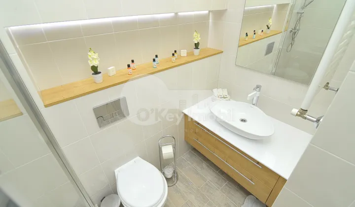 Apartament, Centru, MELESTIU