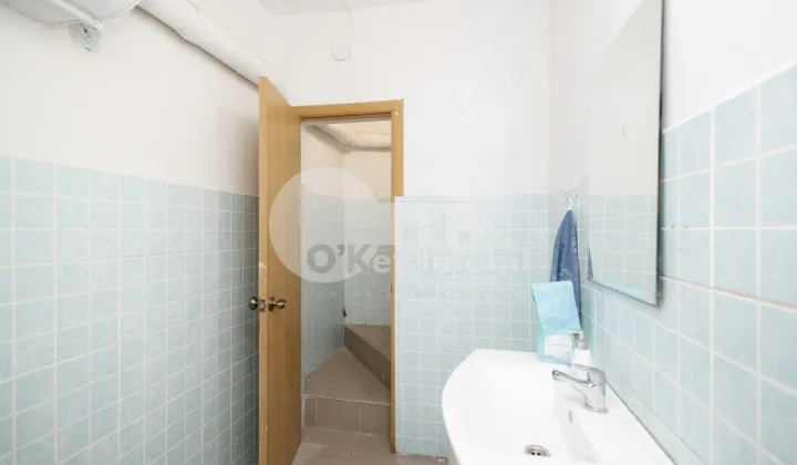 Spațiu comercial, Botanica, VARȘOVIA