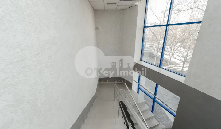 Oficiu, Botanica, CUZA VODĂ