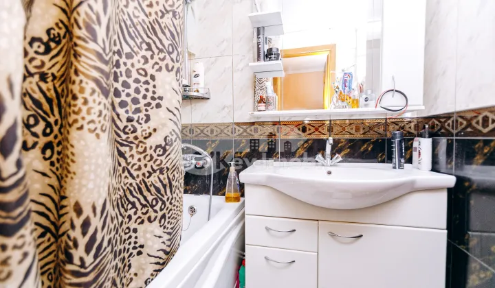 Apartament, Botanica, NIKOLAI ZELINSKI