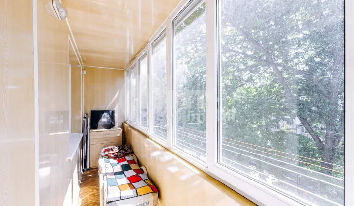 Apartament, Botanica, NIKOLAI ZELINSKI