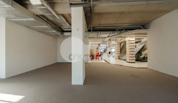 Spațiu comercial, Râșcani, GRIGORE VIERU