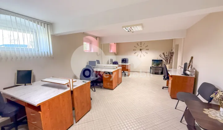 Oficiu, Centru, VASILE ALECSANDRI