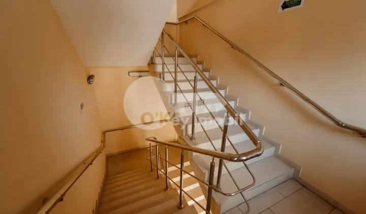 Oficiu, Centru, ȘTEFAN CEL MARE