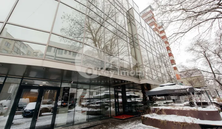 Oficiu, Centru, ALEXANDR PUȘKIN