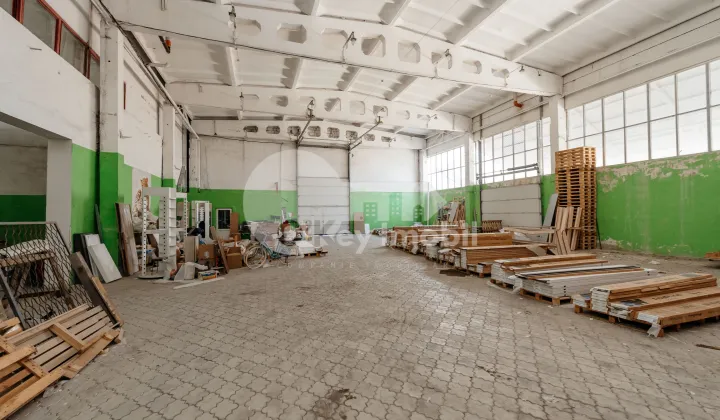 Depozit, Botanica, SALCÂMILOR