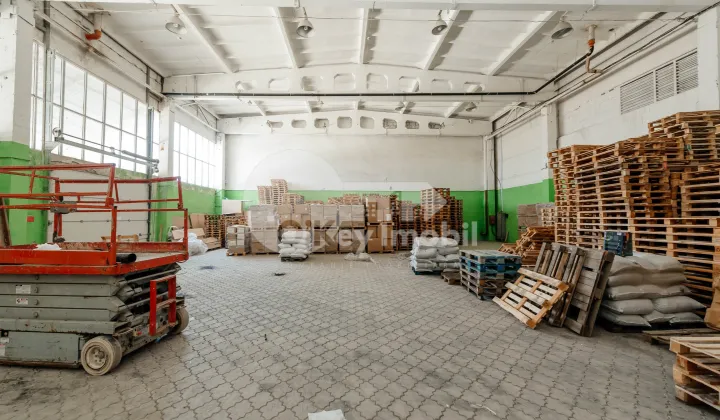 Depozit, Botanica, SALCÂMILOR