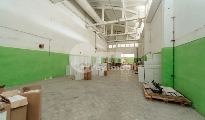 Depozit, Botanica, SALCÂMILOR