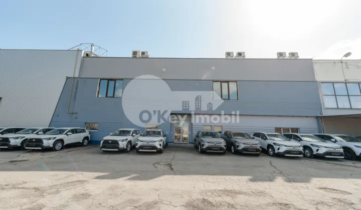 Oficiu, Botanica, SALCÂMILOR