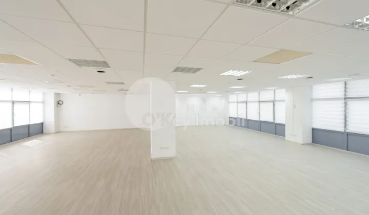 Oficiu, Centru, ȘTEFAN CEL MARE