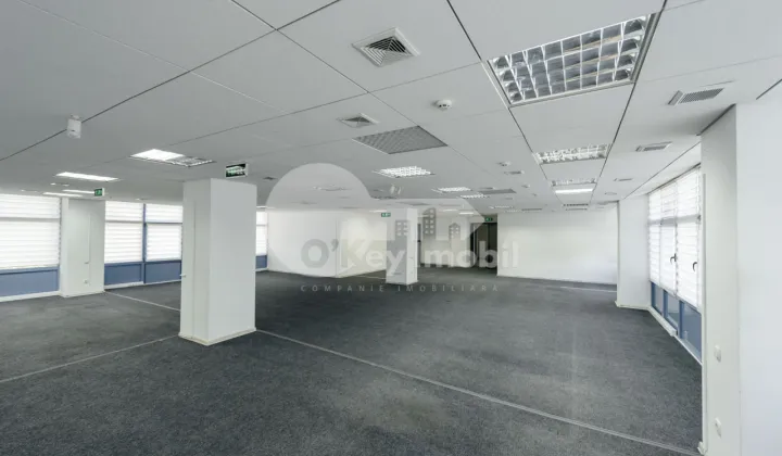 Oficiu, Centru, ȘTEFAN CEL MARE