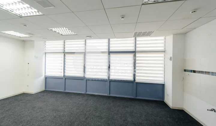 Oficiu, Centru, ȘTEFAN CEL MARE