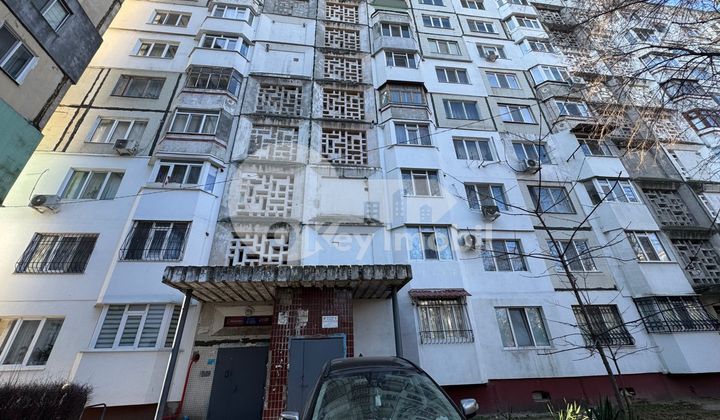 Квартира, Чеканы, ДЖИНТА ЛАТИНЭ