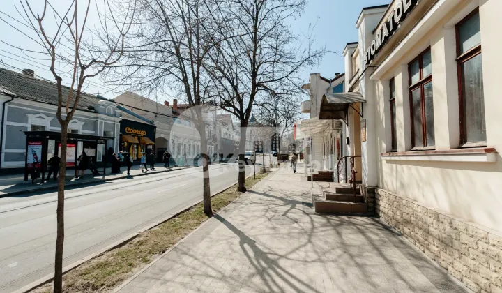 Spațiu comercial, Centru, ALEXANDR PUȘKIN