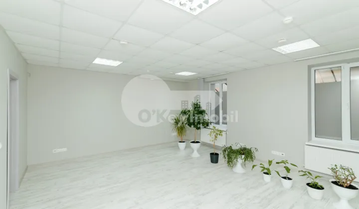 Офис, Центр, ПЕТРУ МОВИЛЭ