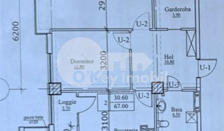 Apartament, Botanica, GRĂDINA BOTANICĂ