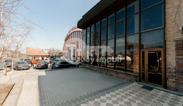 Spațiu comercial, Centru, MIRCEA ELIADE