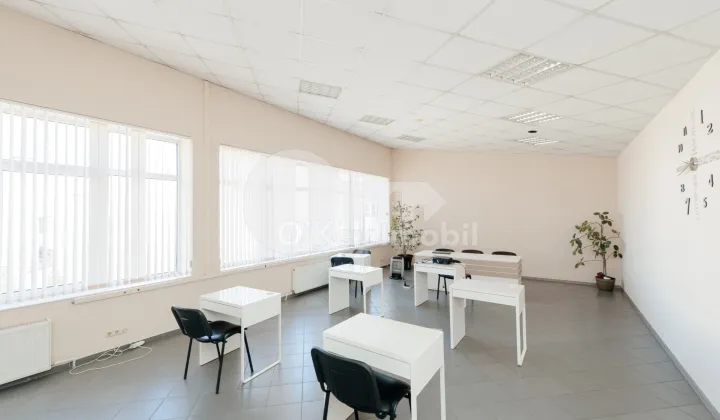 Oficiu, Botanica, DACIA