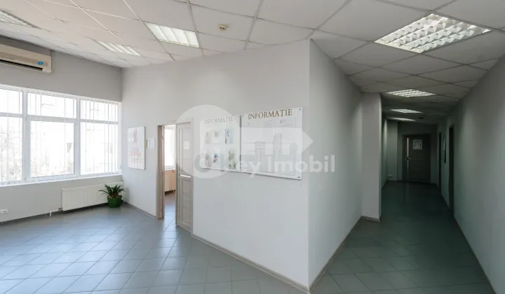 Oficiu, Botanica, DACIA