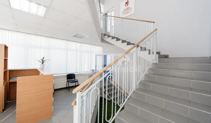 Oficiu, Botanica, DACIA