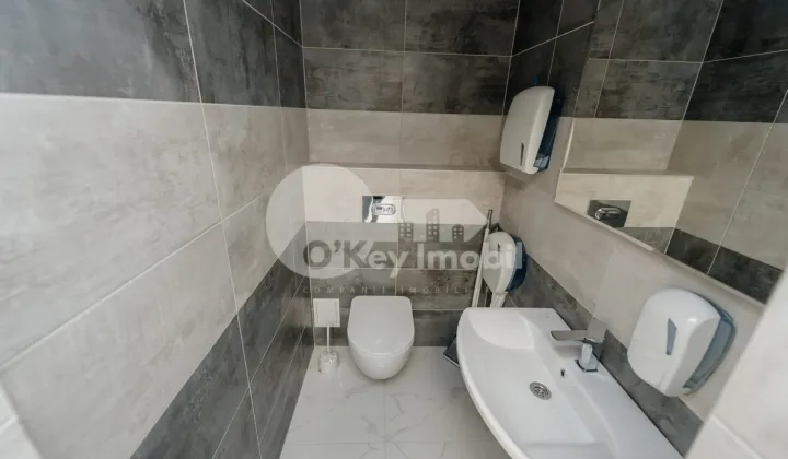 Oficiu, Centru, ALEXANDRU CEL BUN