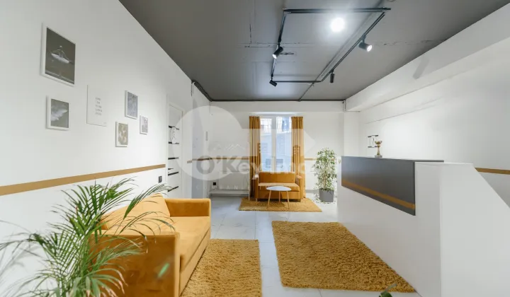 Spațiu comercial, Centru, PAN HALIPPA