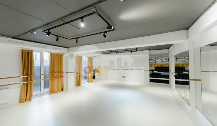 Spațiu comercial, Centru, PAN HALIPPA