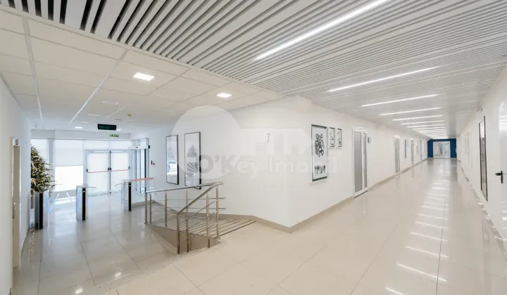 Офис, Буюканы, КАЛЯ ЕШИЛОР