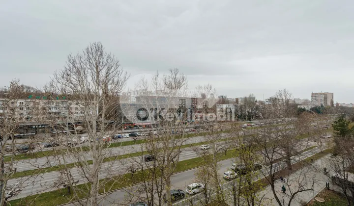 Квартира, Ботаника, ДАЧИЯ