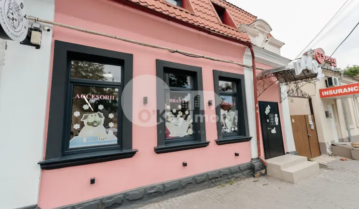 Spațiu comercial, Centru, VASILE ALECSANDRI