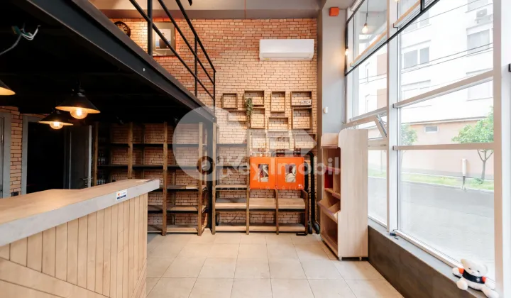 Spațiu comercial, Centru, MELESTIU