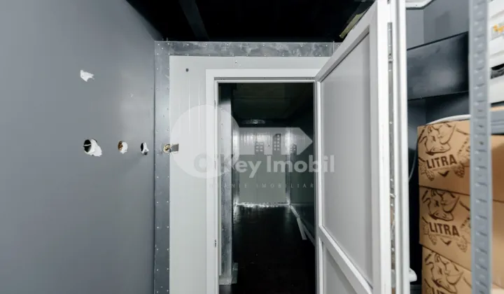 Spațiu comercial, Centru, MELESTIU