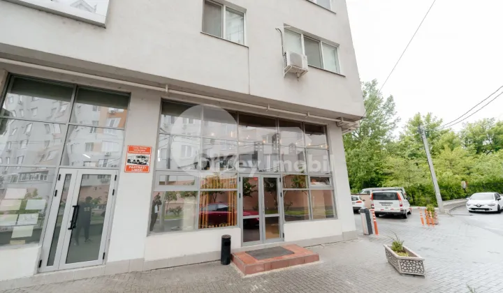 Spațiu comercial, Centru, MELESTIU