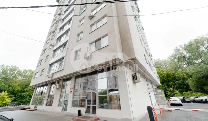 Spațiu comercial, Centru, MELESTIU