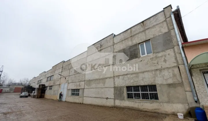 Depozit, Râșcani, PETRICANI