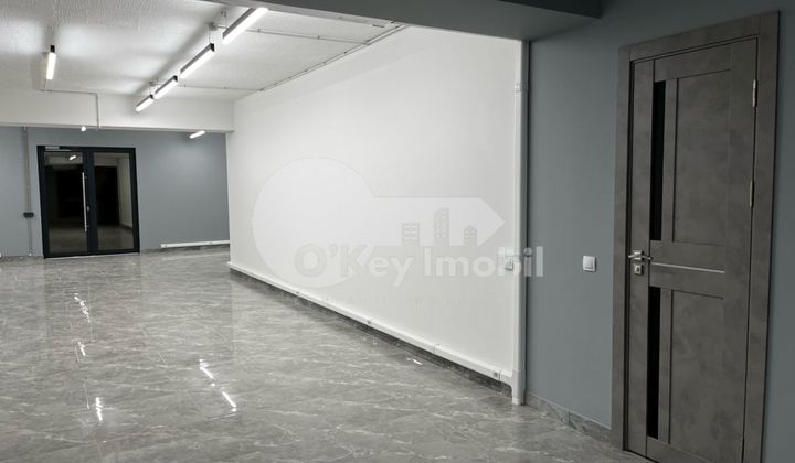 Oficiu, Botanica, DECEBAL