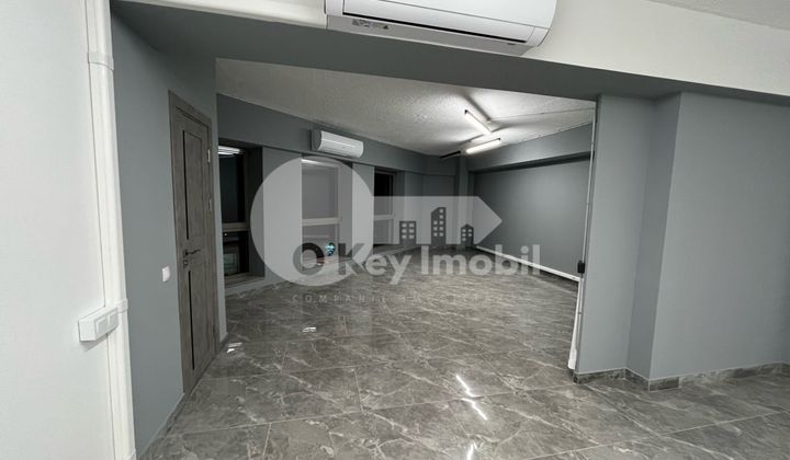 Oficiu, Botanica, DECEBAL