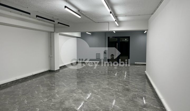 Oficiu, Botanica, DECEBAL