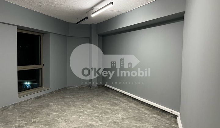 Oficiu, Botanica, DECEBAL