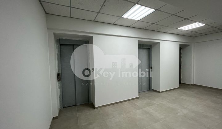 Oficiu, Botanica, DECEBAL