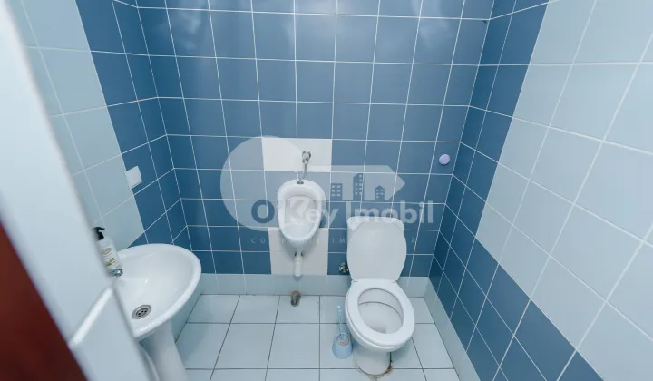 Офис, Рышкановка, КАЛЯ ОРХЕЮЛУЙ